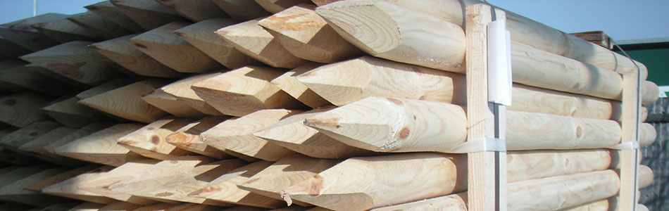 Spidspæle / opbindningapæle